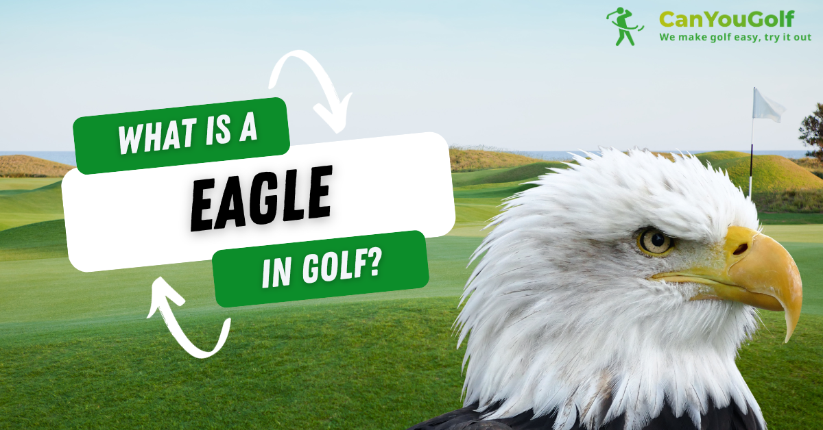 What is an eagle in golf