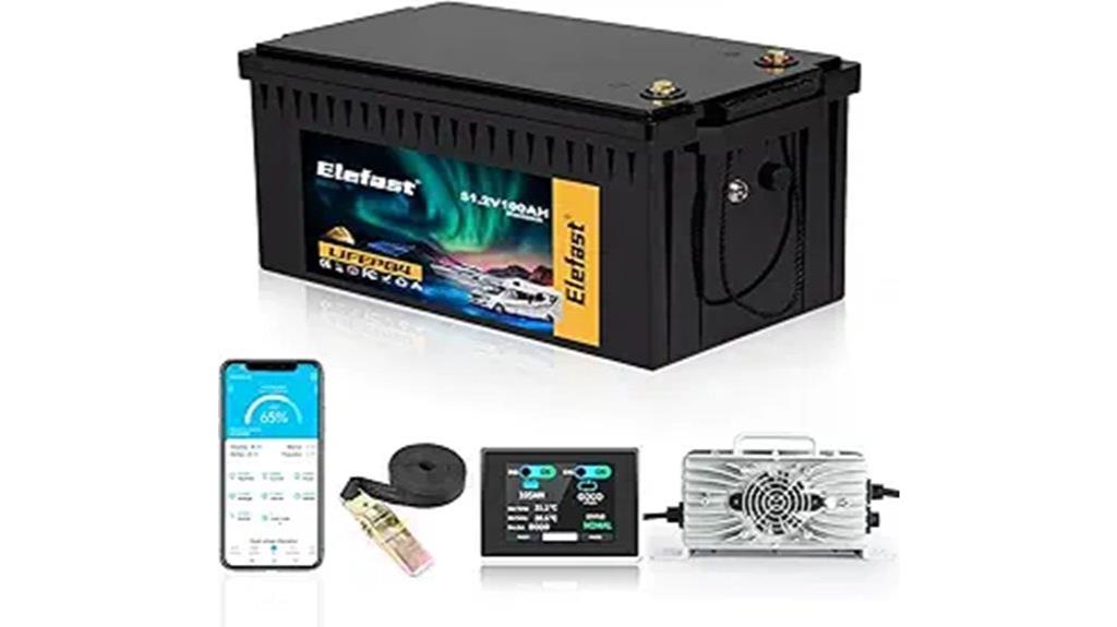 48 volt lithium battery