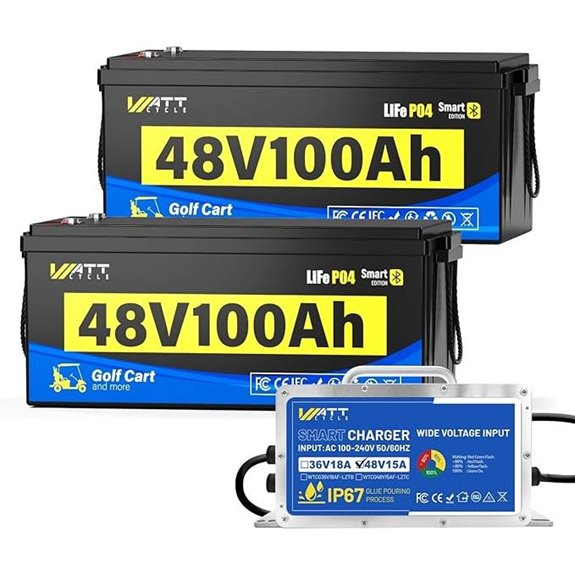 48v 100ah lithium pack