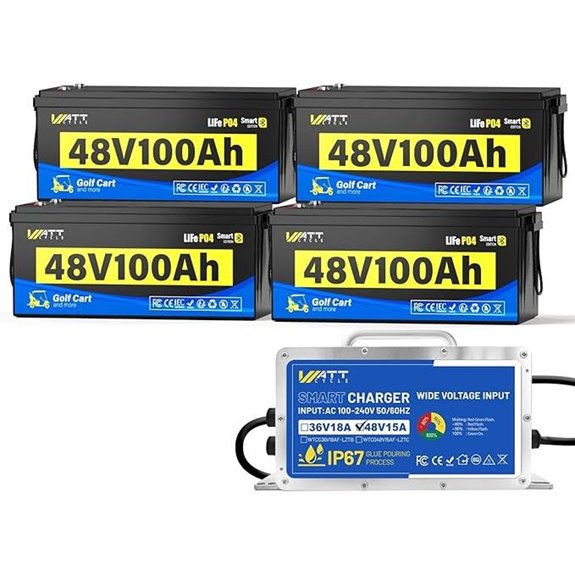 48v lithium golf battery pack