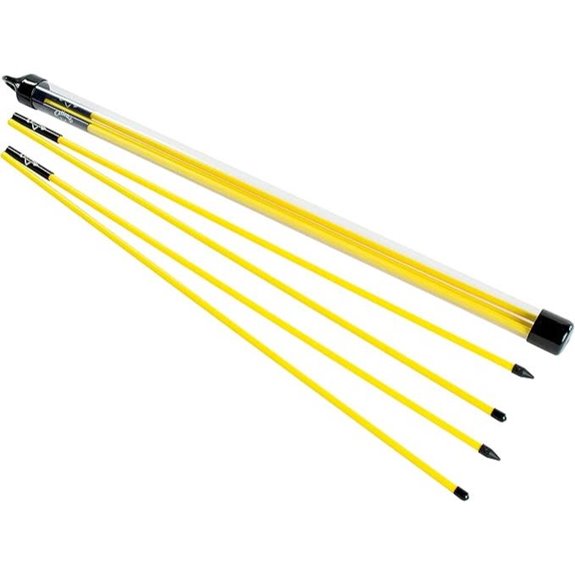 Callaway Alignment Stix Golf Swing Trainer Yellow 48 Inches (Set of 2)