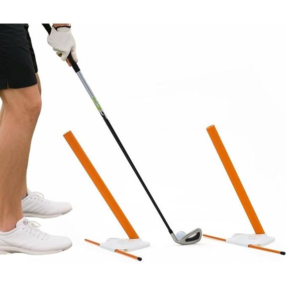 Golf Swing Training Aid with Alignment Discs
