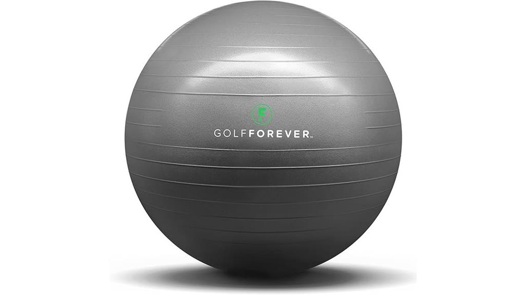 gray 65cm stability ball