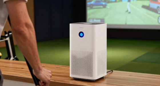 11 Best Air Purifier for Golf Simulator Room in 2026