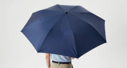 11 Best Best Premium Golf Umbrella in 2026
