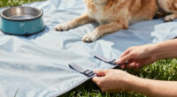13 Best Pet Cooling Products in 2026