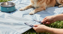 13 Best Pet Cooling Products in 2026