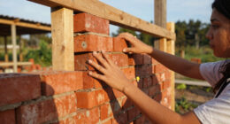 students turn reclaimed bricks into walls that can be assembled, dismantled, and rebuilt