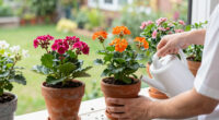 11 Best Flowering Houseplants in 2026