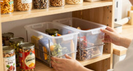 12 Best Pantry Organizers in 2026