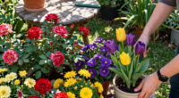 9 Best Garden Flowers in 2026