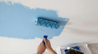 10 Best Interior Wall Paints in 2026