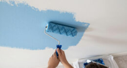 10 Best Interior Wall Paints in 2026
