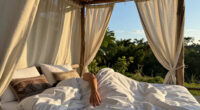 6 Best Canopy Beds in 2026