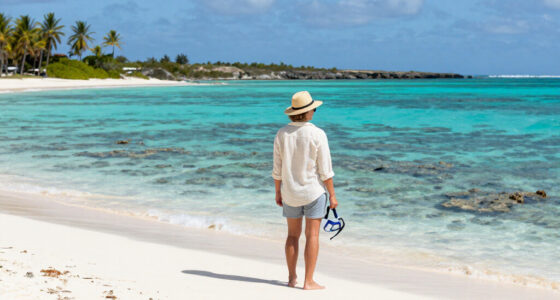 Anegada, British Virgin Islands (General), British Virgin Islands Surges In Global Coverage
