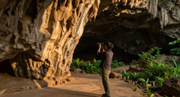 Mammoth Cave, Kentucky, United States Surges In Global Coverage