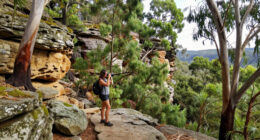 Nattai National Park, New South Wales, Australia Surges In Global Coverage