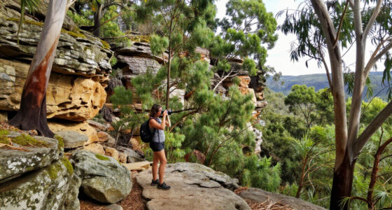 Nattai National Park, New South Wales, Australia Surges In Global Coverage