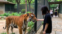 Zoologischer Garten Berlin