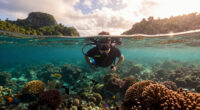Raja Ampat Surges In Global Coverage