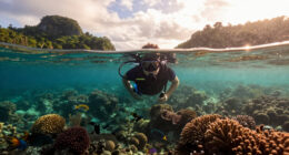 Raja Ampat Surges In Global Coverage