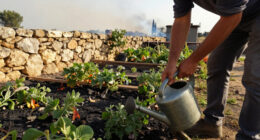 Wildfires Threaten Homes Across Sicily, Italy