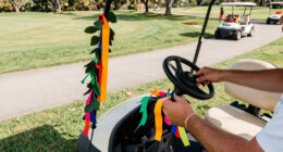 15 Best Golf Cart Costume Decorations in 2027